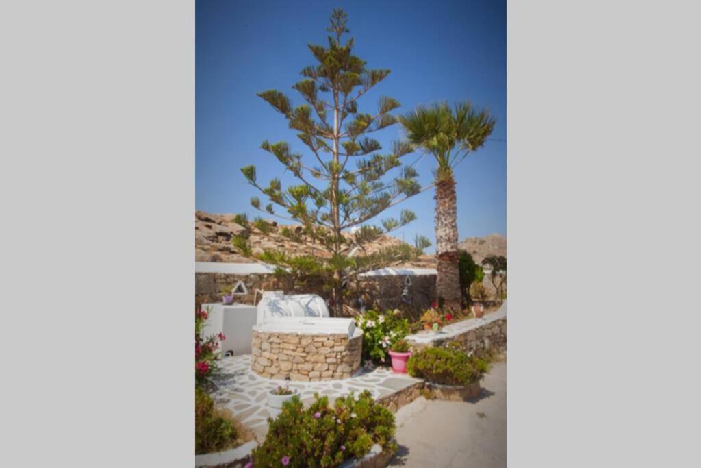 White Dreams Studio Mykonos Town Ngoại thất bức ảnh